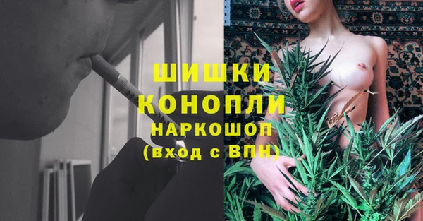 молекула духа Дмитриев