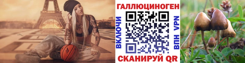 купить наркотики сайты  Плавск  Галлюциногенные грибы мицелий 